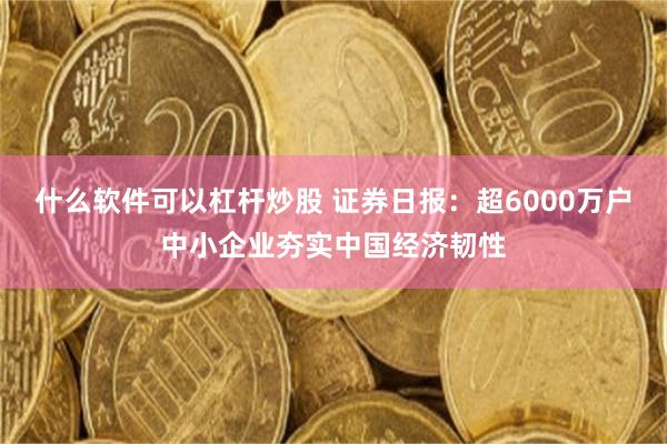 什么软件可以杠杆炒股 证券日报：超6000万户中小企业夯实中国经济韧性