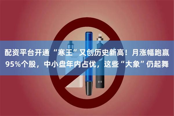 配资平台开通 “寒王”又创历史新高！月涨幅跑赢95%个股，中小盘年内占优，这些“大象”仍起舞